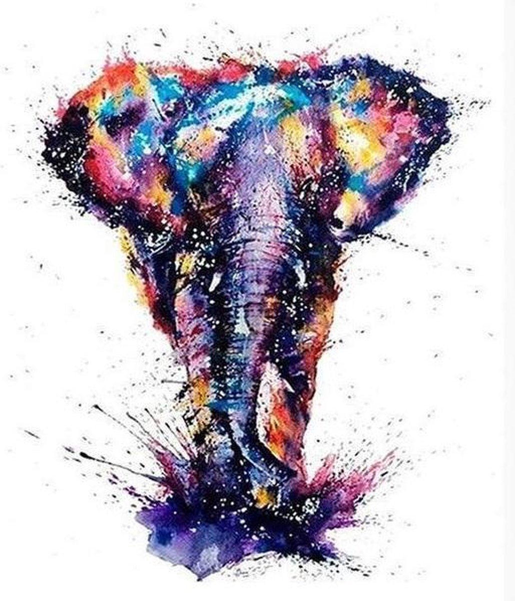 Schilderen op Nummer | Olifant - 40x50cm - Exclusief Lijst (24 kleurtjes)
